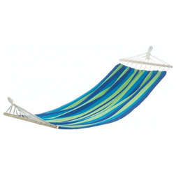 Beach Style Hammocks And Swing Chairs by VirVentures