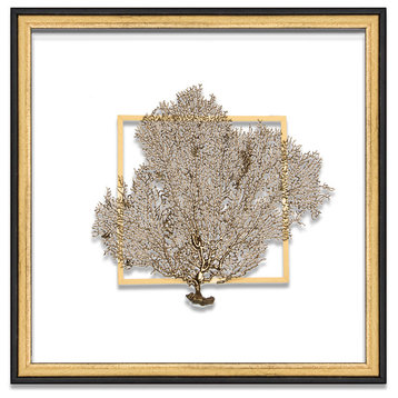 Classic Sea Fan Suspended Between Glass With A Decorative French Line, Gold