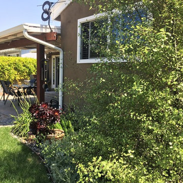 Cowles mountain view back yard retreat
