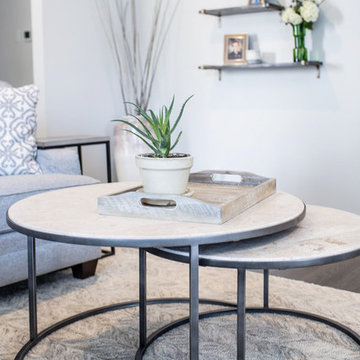 Clarkson Street Living Room + Fireplace Renovation