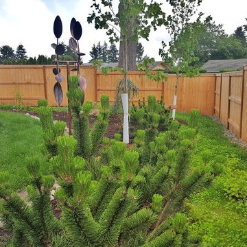Oregon City Tall Fescue Sod, EcoLawn, and Puppies!