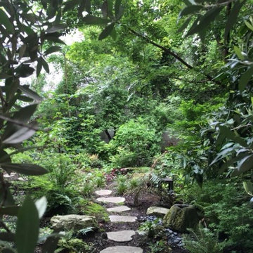 Reprse d'un jardin d'hoitel particulier rue Montorgeuil