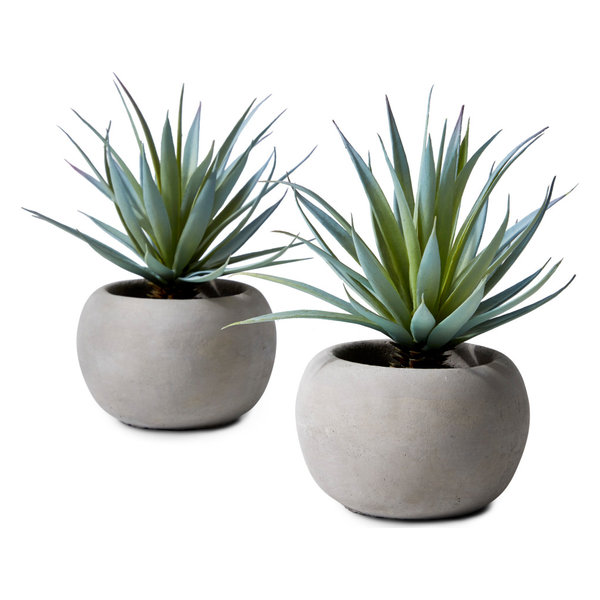 Sword Grass In Grey Cement Pot, Set of 2,  6