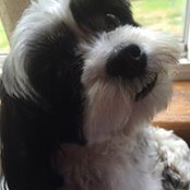Diane Barnak's photo