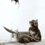 Susan Thibault's photo