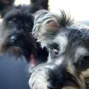 Sharon Kaldor's photo