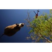 Ryne Swanberg's photo