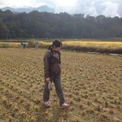 Yae Tanaka's photo