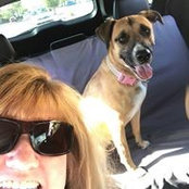 Carla Mulford's photo