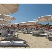 Fabio Vitale's photo