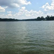 Robert Muckenfuss's photo