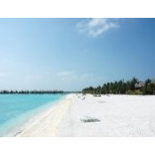 Libby Wolkenstein's photo