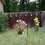 Nancy Butler's photo
