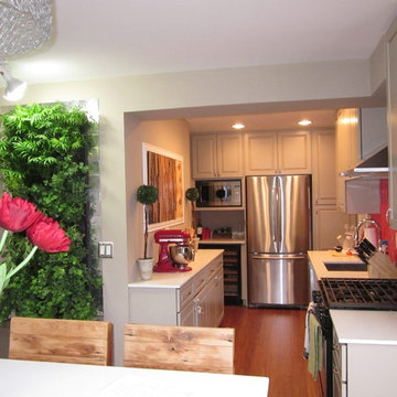 Kitchen Crashers - Kitchen Makeover