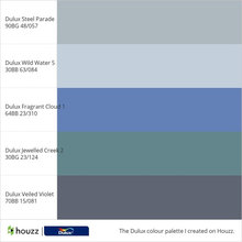 Dulux competition