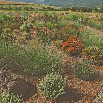 Waterwise-Pollinator Garden