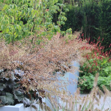 Front and back garden in dutch wave style