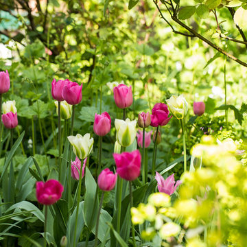 Battersea Communal Garden