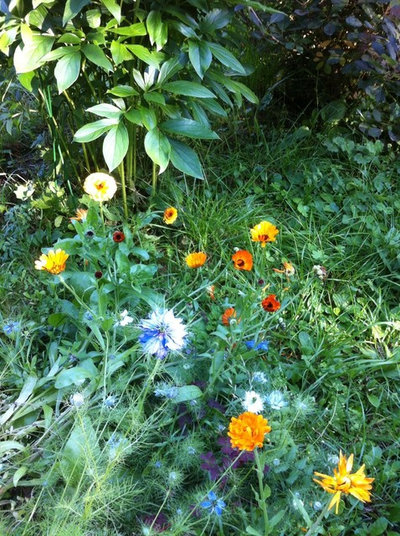 by Яна Иванченко