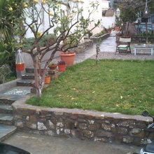 front yard