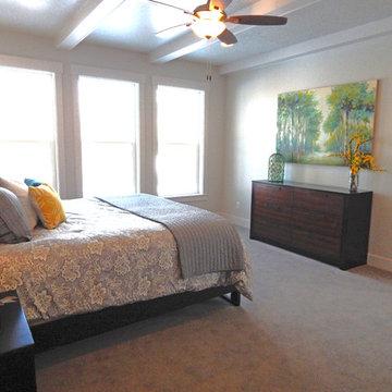 Salz Spec Home for Silverhawk Enterprises