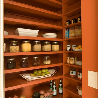 Cette image montre une arrière-cuisine design avec un placard sans porte et des portes de placard oranges.