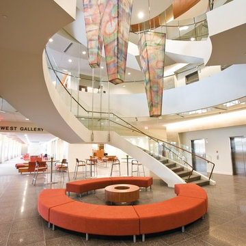 Ceiling Sculpture for Health Facility Lobby