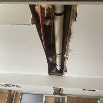 Painting & Drywall