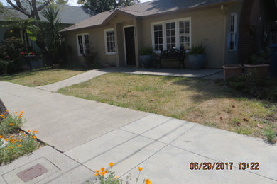 Before lawn removal