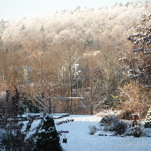 winter beauty
