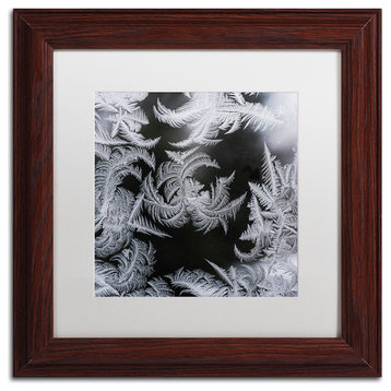 Kurt Shaffer 'Window Frost Pattern 2' Art, Wood Frame, White Matte, 11"x11"