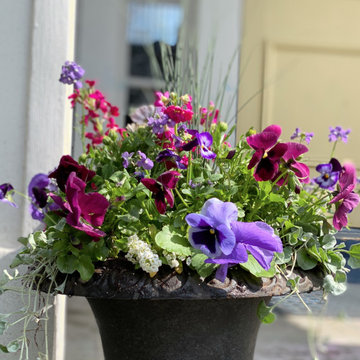 Early Spring Containers