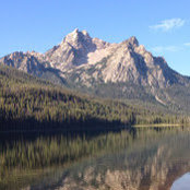 Debbie Donovan's photo