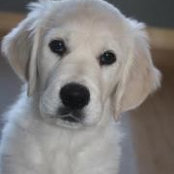 Sue Nickels's photo