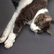 Barbara Stynes's photo