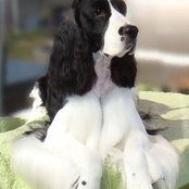 Paula Lynch's photo