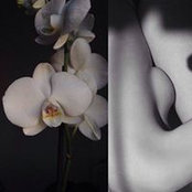 Federica Simoni's photo