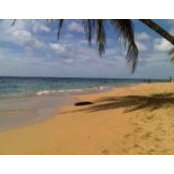 Guillermo Cáceres's photo