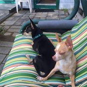 Kristin Hoffer's photo