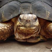 Jackie Boesinger's photo