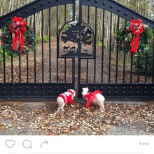 Gate/Front Entrance