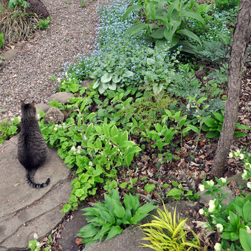 Woodland Ramble