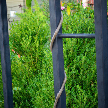 Corner lot Courtyard