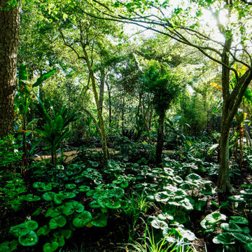 Rienzi Mansion - MFAH - Landscape Design & Installation
