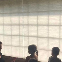 Cellular Shades - Products