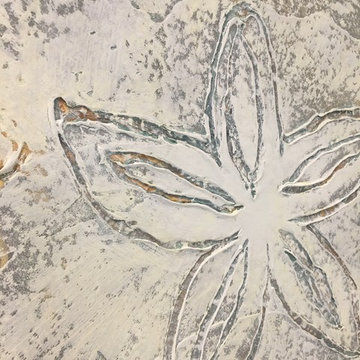 Sand dollar
