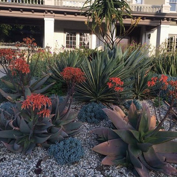 The Adams Shalhoub Garden