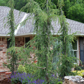 Norman, OK Landscaping Renovation