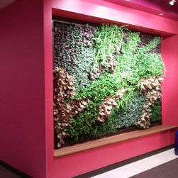 Indoor Living Wall - Hot Tub And Pool Supplies