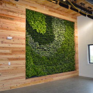 Green Roof Projects